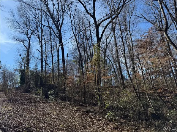 0 E Lake Dr, Tuscaloosa, AL 35405