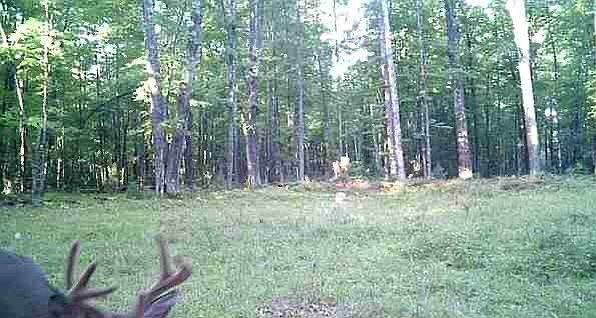 2nd image of Lot 4 Off Highway 77