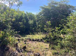 Puukani Rd LOT 40, Naalehu, HI 96772