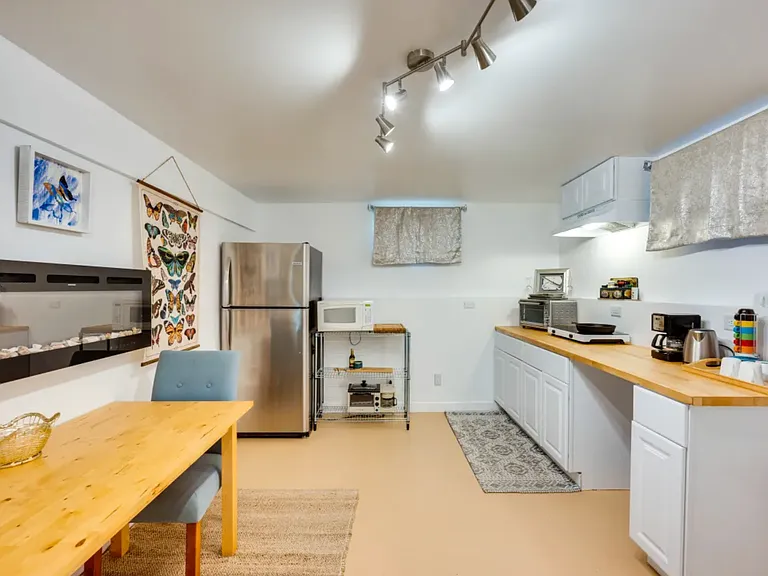 2nd Kitchen Lower level with refrigerator, deep freezer, induction stove, dishwasher, toaster oven and electric fireplace.
