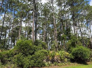 3 Largo Pl LOT 6, Palm Coast, FL 32137