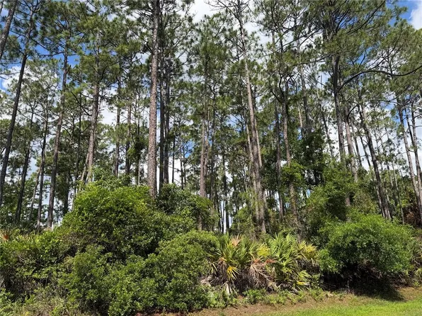 3 Largo Pl Lot 6, Palm Coast, FL 32137