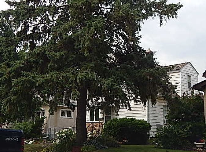 2nd image of 4436 43rd Ave S