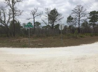 10230 Yellow Frog Ave, Weeki Wachee, FL 34614