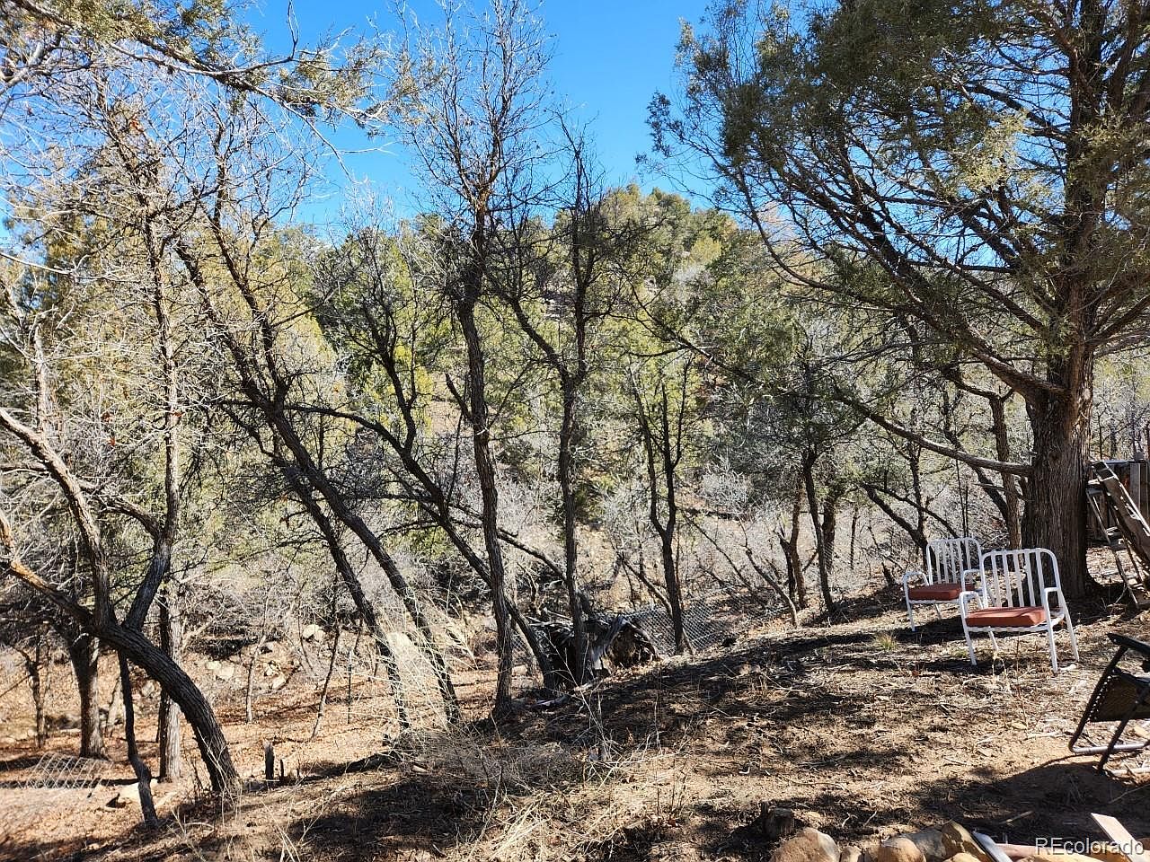 13850 Highway 151, Pagosa Springs, CO 81147 MLS 2230878 Zillow