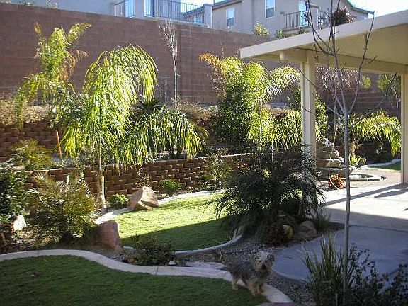 Rear Yard