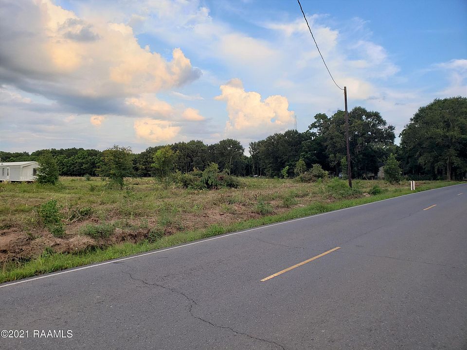 2nd image of Tiger Ln