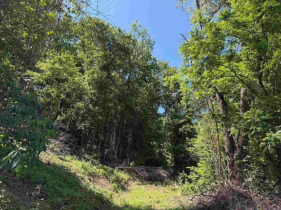 5th image of Sandy Dr