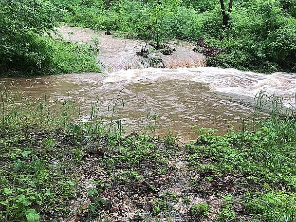 Creek behind house 