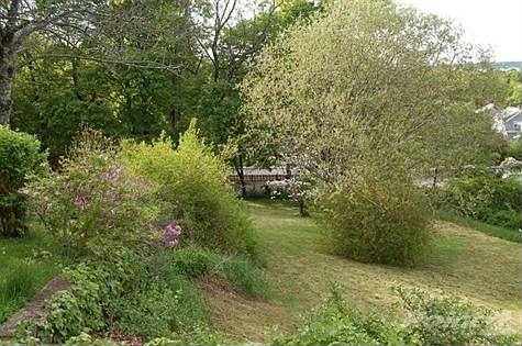 back yard