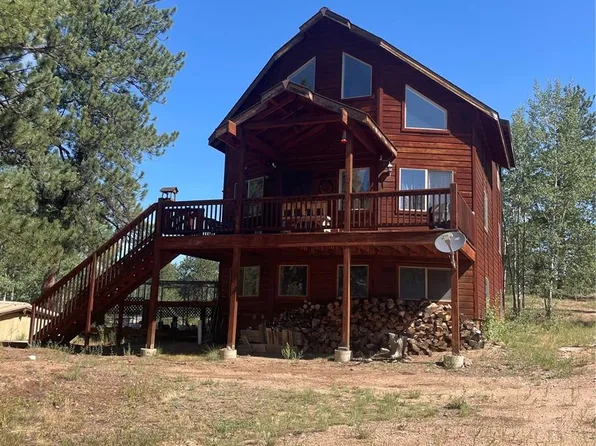 3943 CO Rd 403, Lake George, CO 80827