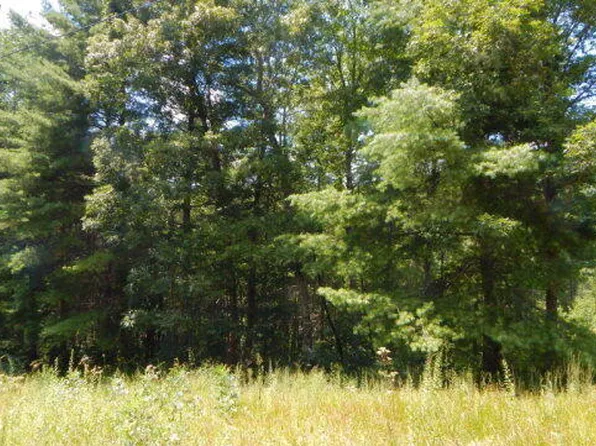 16 Tyler Rdg Lot 16, Murphy, NC 28906