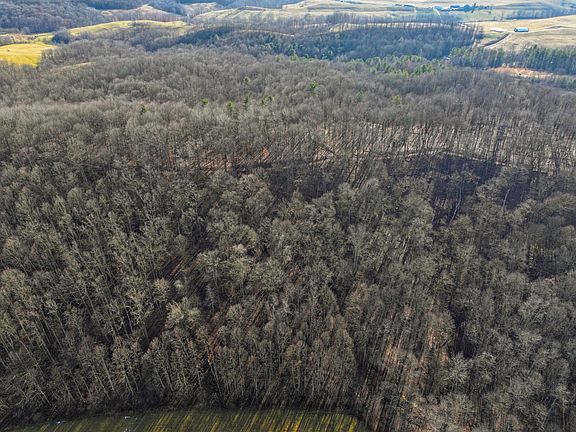 5th image of 0 Kuhn Run Rd Tract 10
