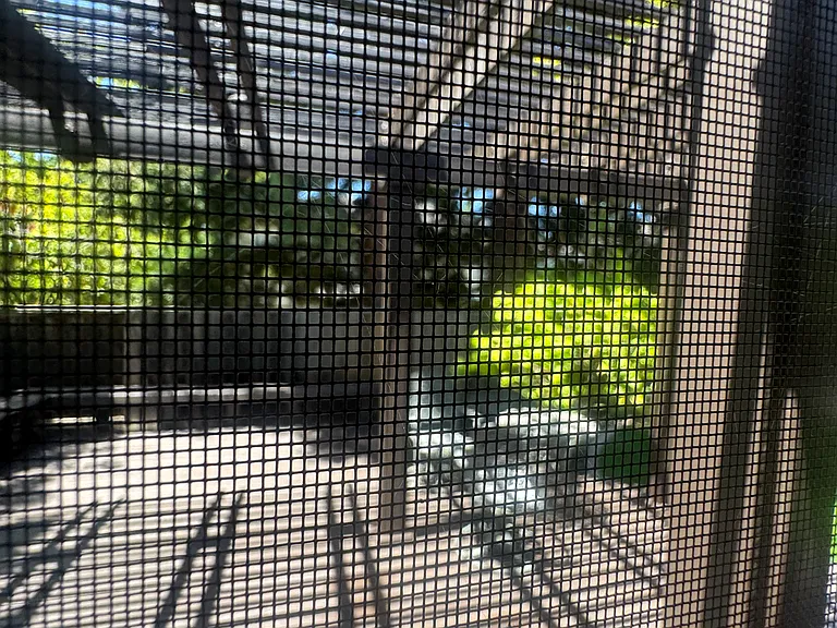 5 Stanton Ct — Photo 16