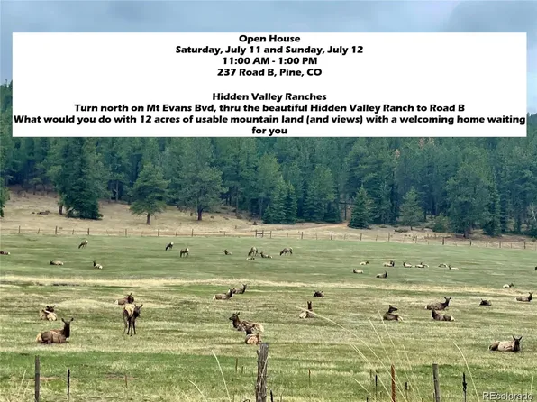 237 Road B, Pine, CO 80470