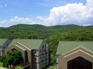 30 Blue Bird Way, Branson, MO 65616