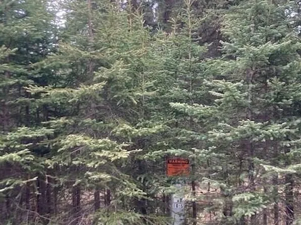 53310 Tehama Ave, Kasilof, AK 99610