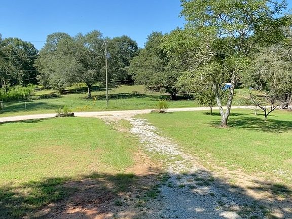 View of front yard