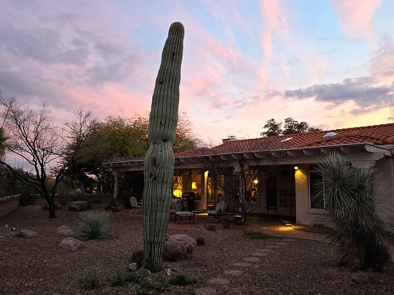 14770 N Windshade Dr — Photo 33