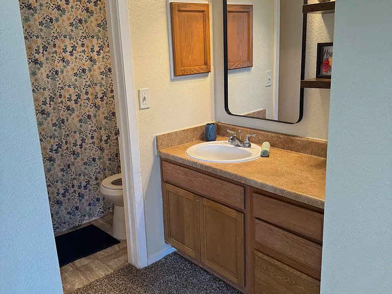 Bathroom vanity with updated fixtures and shelving.
