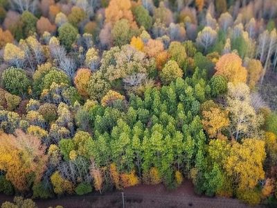 0 Old Natchez Trace Trl, Camden, TN, 38320