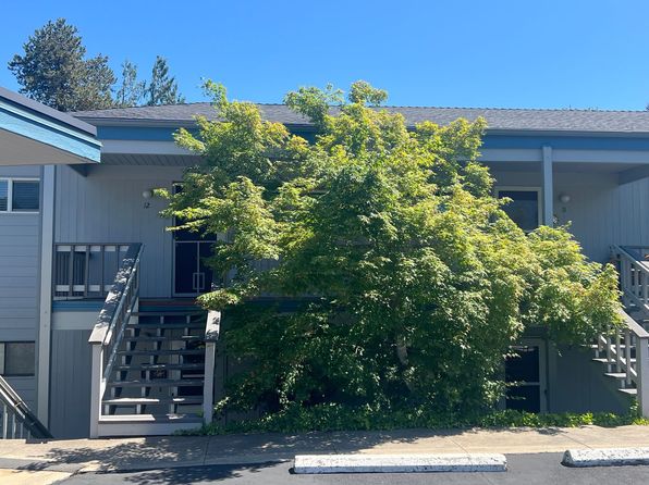 854 Twin Pines Cir APT 12