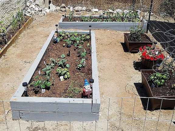 Wood chips added since photo