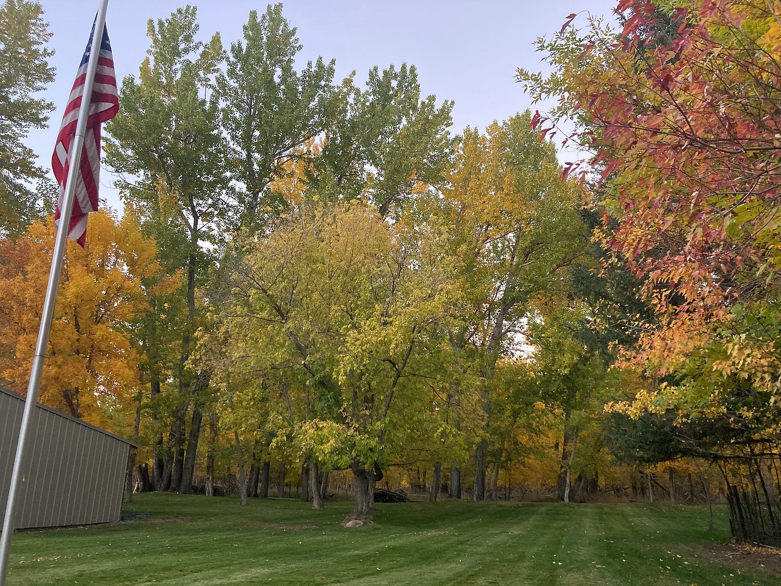 3 bed, 1750 sqft, $2,300 — Photo 3