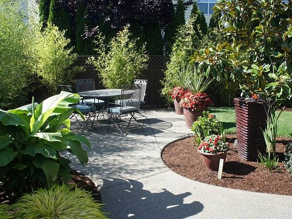 Backyard oasis