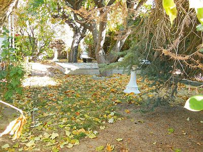 Pretty Yard
