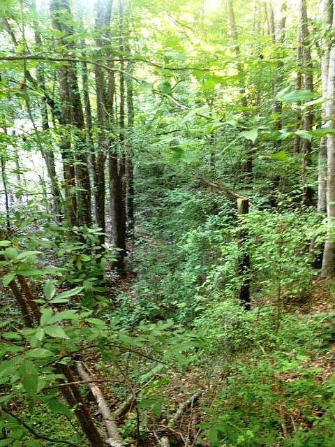 2nd image of PARCEL 4 Highway 98 E