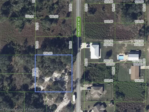 113 Walker Ave NE, Lake Placid, FL 33852
