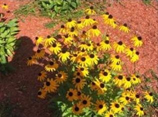 38 Andrea Cir, Needham, MA 02494