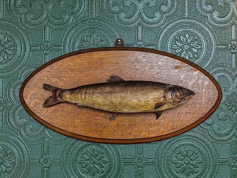 Fairmans Garrett - Fisherman — Photo 23