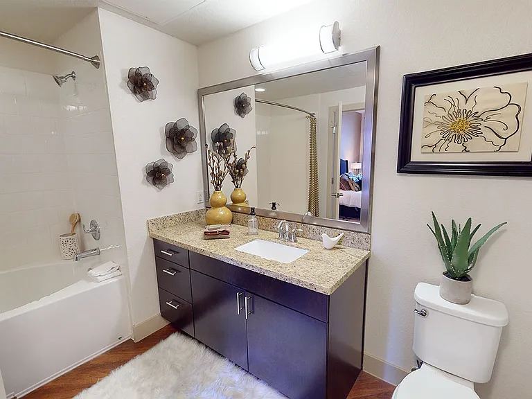 Apartment bathroom with wood-style flooring.