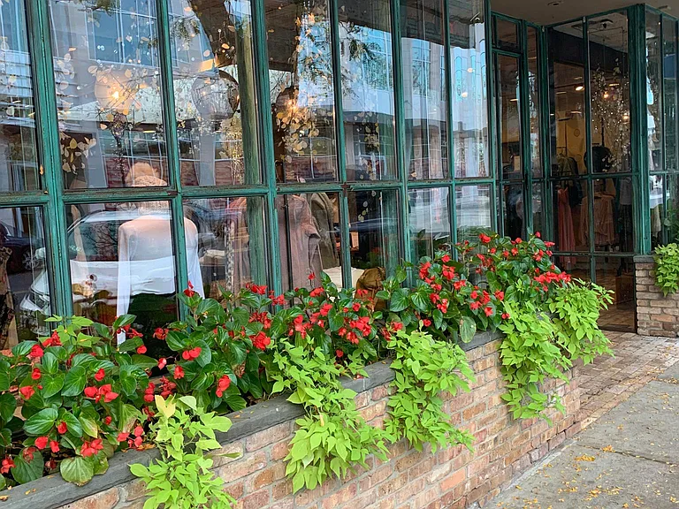 Shop in Suburban Square