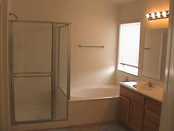 Master Bath with Full size Shower and Deep Tub