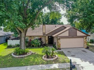 7102 Hollowell Dr, Tampa, FL 33634