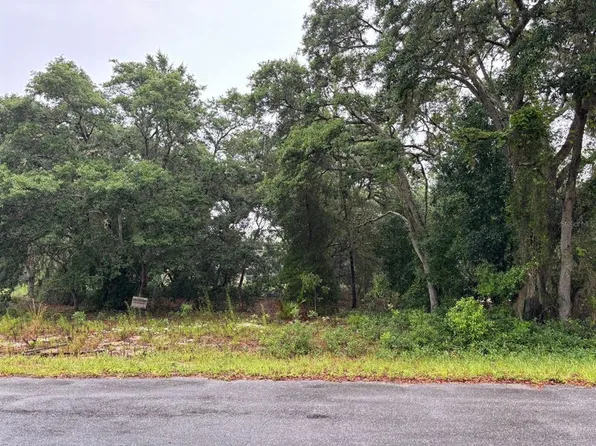 7 Fisher Way Crse Lot 7, Ocklawaha, FL 32179