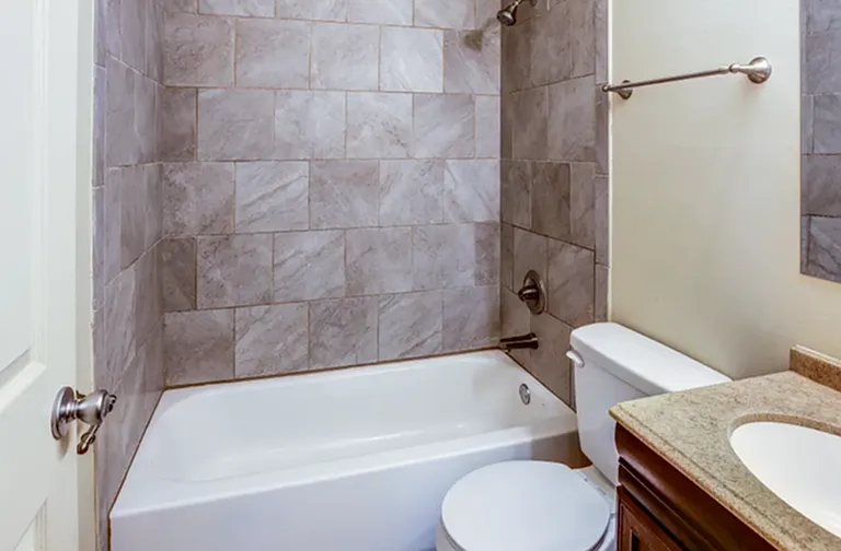 Designer Bathroom Designer Bathroom