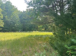 6872 Wolverine Rd, Wolverine, MI 49799