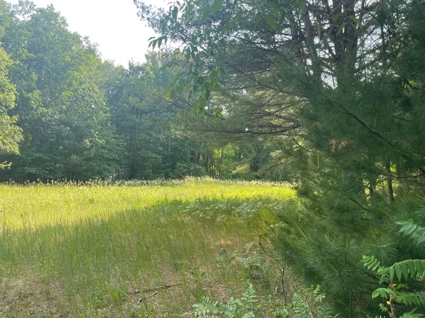 6872 Wolverine Rd, Wolverine, MI 49799