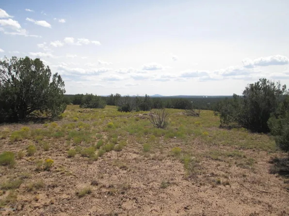 2463 Bourdon Ranch Rd, Show Low, AZ 85901