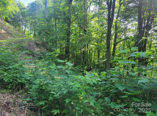 400 Mountain Laurel Rd #57, Maggie Valley, NC 28751