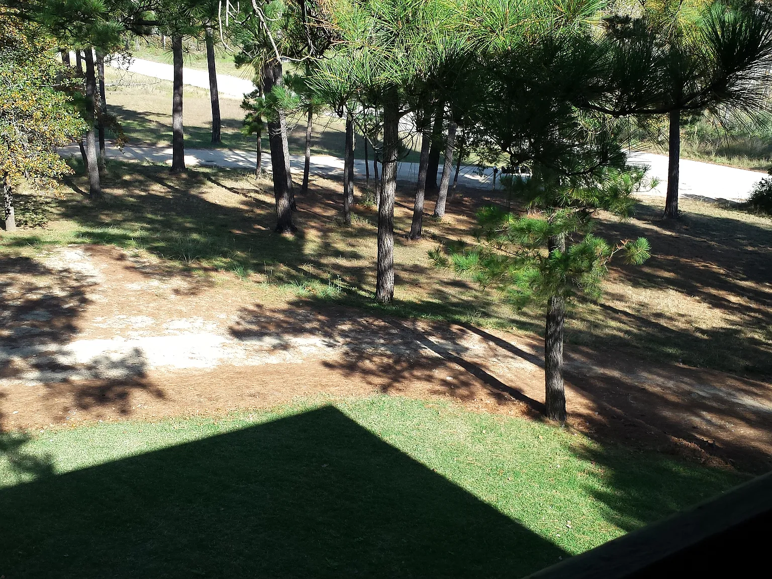 2 bed, 1200 sqft, $1,195 — Photo 2