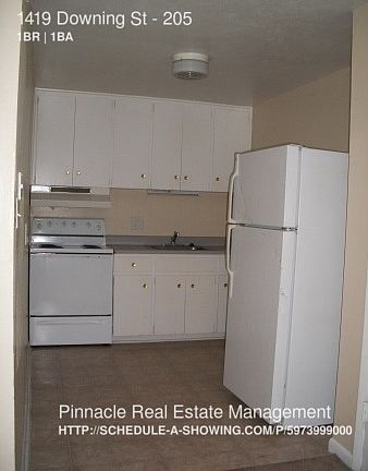 3rd image of 1419 Downing St APT 205
