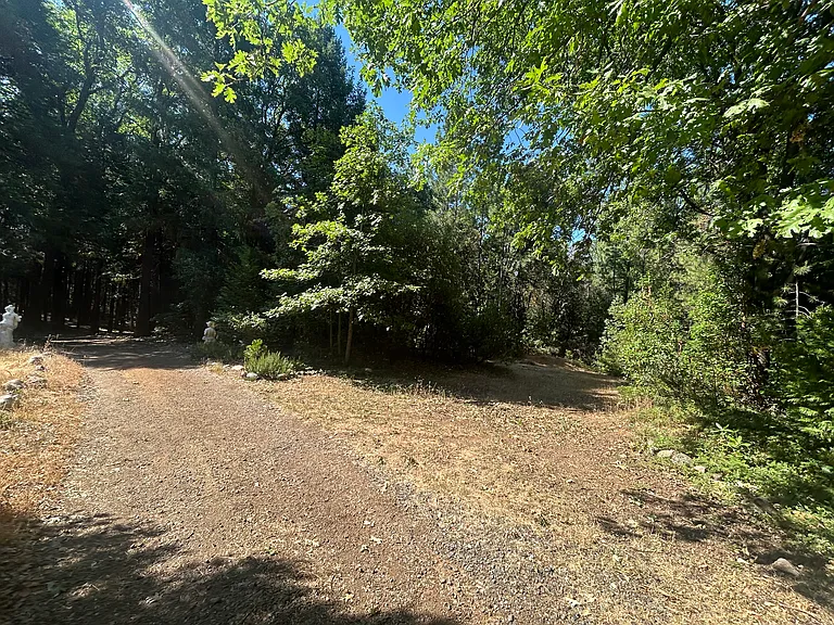 17347 Sunrise Rd — Photo 31