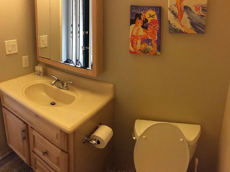 2747 S Kihei Rd #H207 — Photo 16