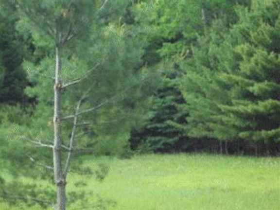 5th image of On Aspen Ln