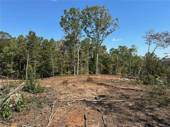 3.3 Yancy Dr #6, Dawsonville, GA 30534